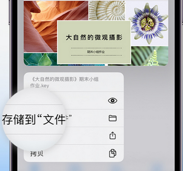 万安apple维修中心分享iPhone文件应用中存储和找到下载文件