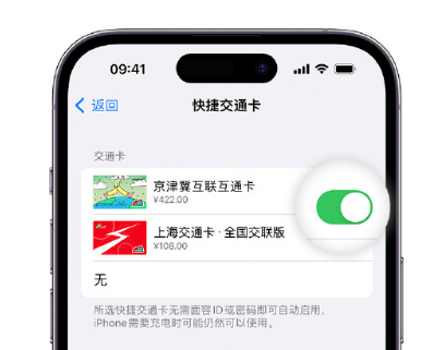 万安apple维修点分享iPhone上更换Apple Pay快捷交通卡手绘卡面 