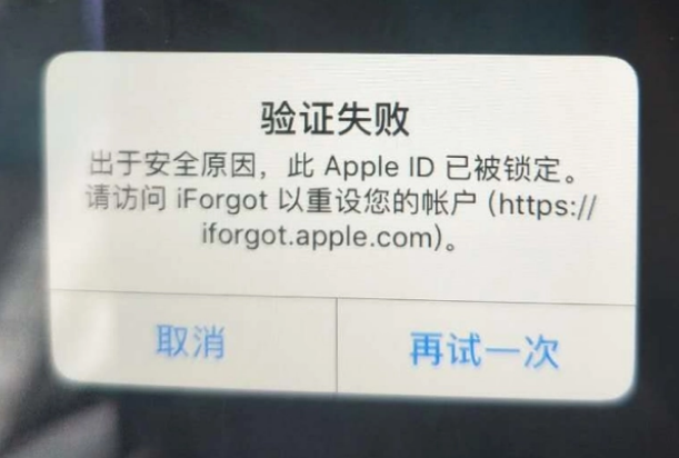 万安iPhone维修分享iPhone上正常登录或使用AppleID怎么办 