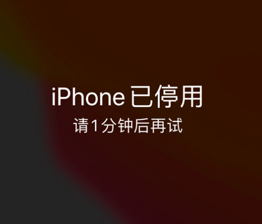 万安苹果手机维修分享:iPhone 显示“不可用”或“已停用”怎么办？还能保留数据吗？ 