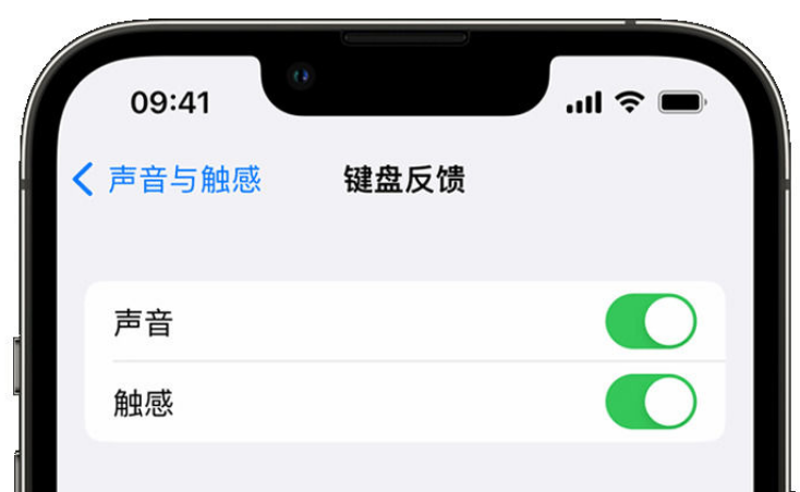 万安苹果手机维修分享iPhone 14触感键盘使用方法 