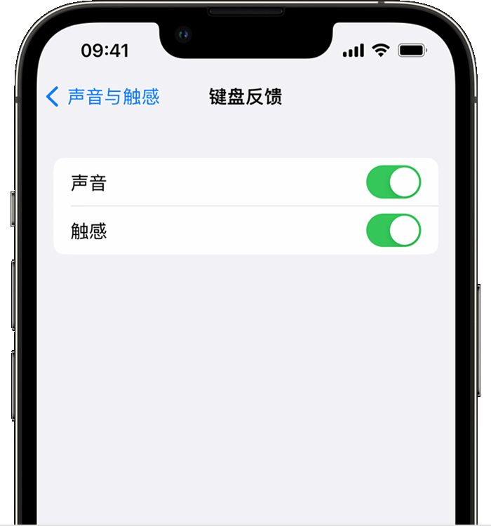 万安苹果14维修店分享如何在 iPhone 14 机型中使用触感键盘 