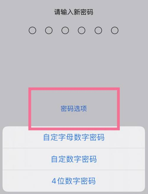 万安苹果14维修分享iPhone 14plus设置密码的方法 