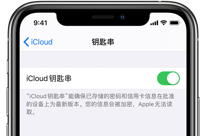 万安苹果手机维修分享在 iPhone 上开启 iCloud 钥匙串之后会储存哪些信息 