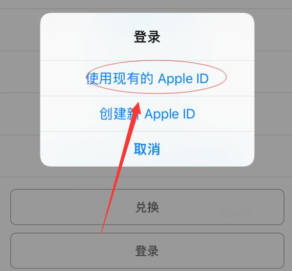 万安苹果手机维修分享两台iPhone设备可以同时登录一个Apple ID吗 