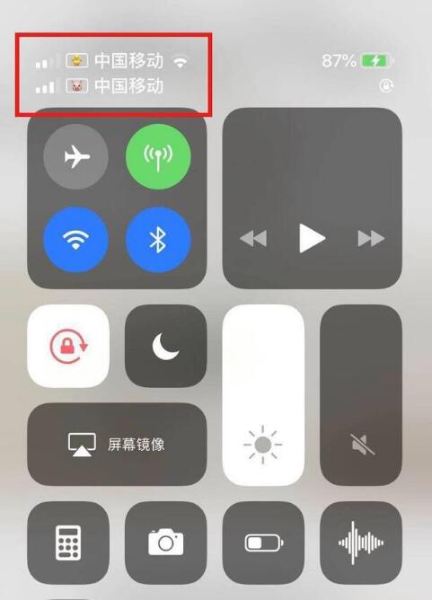 万安苹果手机维修分享为 iPhone 12 双卡设置标签 