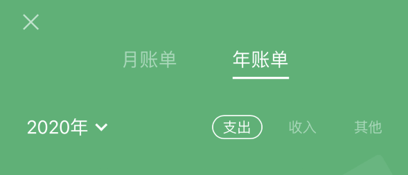 万安苹果手机维修分享如何在 iPhone 上查看支付宝和微信年支出账单 